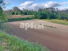 , 2767.00 m², Calle TRASMIL
