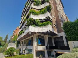 Mieten , 304 m², Zona