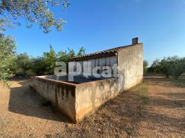  (casa rural), 39.00 m², 附近的公共汽車和火車, Ulldecona