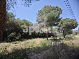 , 800 m², CASTELL DE MONTBUI, 264