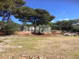 Rustic land, 0.00 m²,  (CORRAL D EN ROC) 