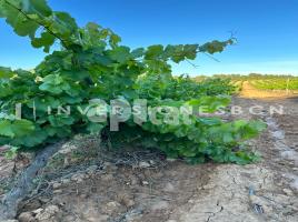 Rustic land, 0.00 m², Vimbodí