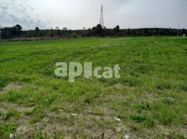 , 2000 m²