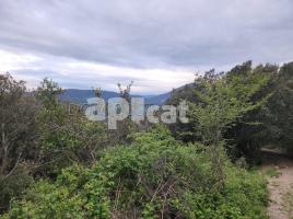 , 21000.00 m², Avenida roca roja