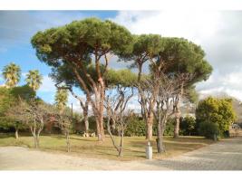 Detached house, 696.00 m²