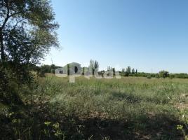 Сельский земли, 14000.00 m², Partida PLA DE MONSO