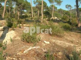 Rustic land, 2600.00 m², Camino ca el sereno 